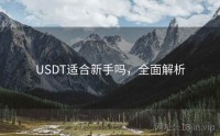 USDT适合新手吗，全面解析